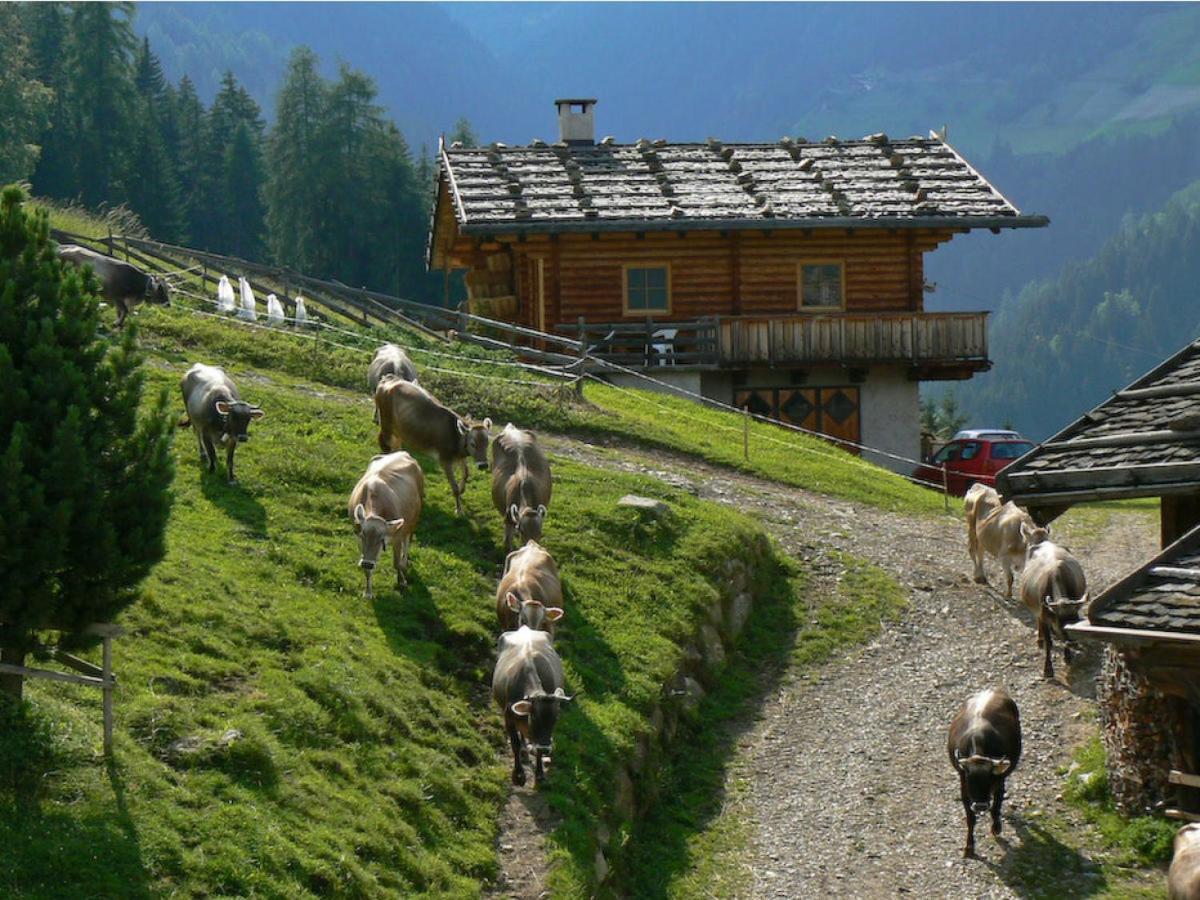 Ferienwohnung Maiernhof Bauernhof Ultental 圣潘克拉齐奥杜尔提摩 外观 照片